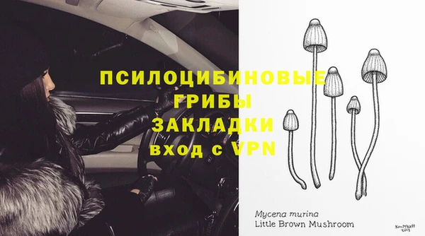 spice Алзамай