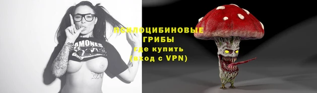 крисы Абинск