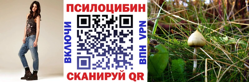 сколько стоит  Альметьевск  Псилоцибиновые грибы GOLDEN TEACHER 